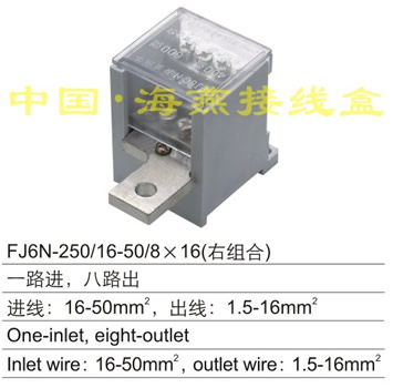 FJ6N-250/16-50/8×16(右组合) 一路进,八路出