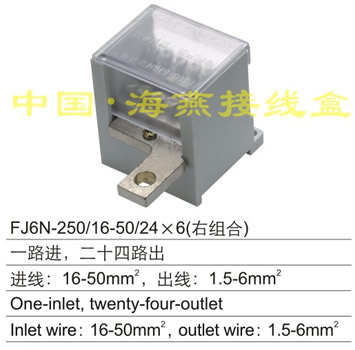 FJ6N-250/16-50/24×6(右组合) 一路进,二十四路出